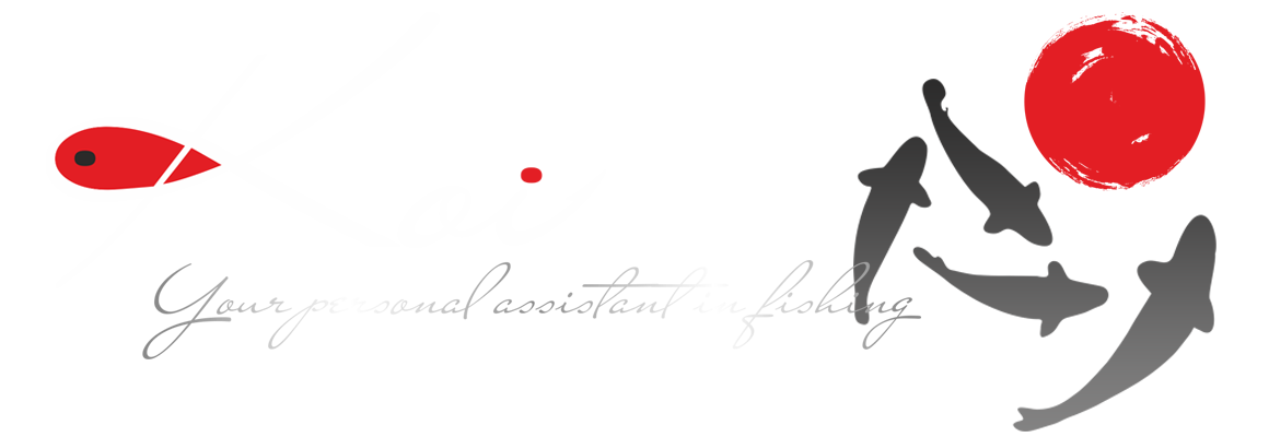 KOI KOI